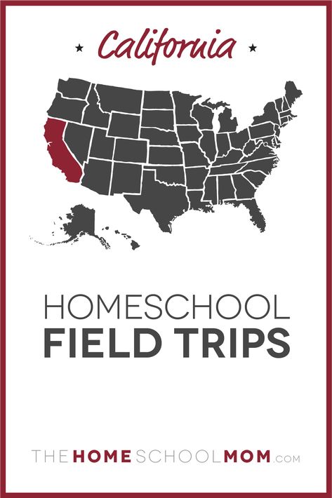 Find California homeschool field trips in TheHomeSchoolMom's Local Resources database #homeschool #homeschoolingincalifornia #thehomeschoolmom Texas Homeschool, Homeschool Field Trips, School Field Trip, Homeschool Education, Virtual Field Trips, Homeschool High School, Homeschool Help, School Administration, Homeschool Art