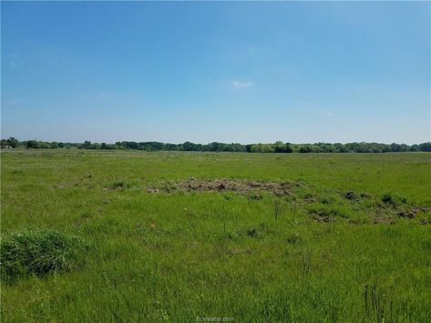 CALVERT, Texas | $116,000 | 11.74 Acres | Beautiful homesite property within two hours of Houston, Dallas and Austin! Investing In Land, Texas Land, Barbed Wire Fencing, Dream Land, Vacant Land, College Station, Horse Farms, How To Buy Land, Land For Sale