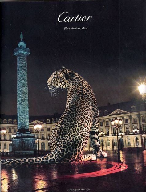 Cartier’s LA PANTHÈRE Cartier Panther, Paris Place, المملكة العربية السعودية, Fashion Wall Art, Bear Stuffed Animal, Andy Warhol, Big Cats, Gossip Girl, Panther