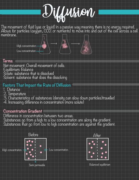 Diffusion Biology Notes, Biology Notes Diffusion, Diffusion Notes Biology, Grade 10 Physical Science Notes, Physics Notes Grade 10, Grade 10 Biology Notes, Life Science Notes Grade 10, Grade 11 Biology Notes, Grade 10 Science Notes