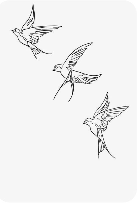 Birds Line Drawing, Bird Tattoo Linework, Scissor Tail Bird Tattoo, Scissor Tailed Flycatcher Tattoo, Scissortail Flycatcher Tattoo, Fineline Bird Tattoo, Three Bird Tattoo, 3 Birds Tattoo, Three Birds Tattoo