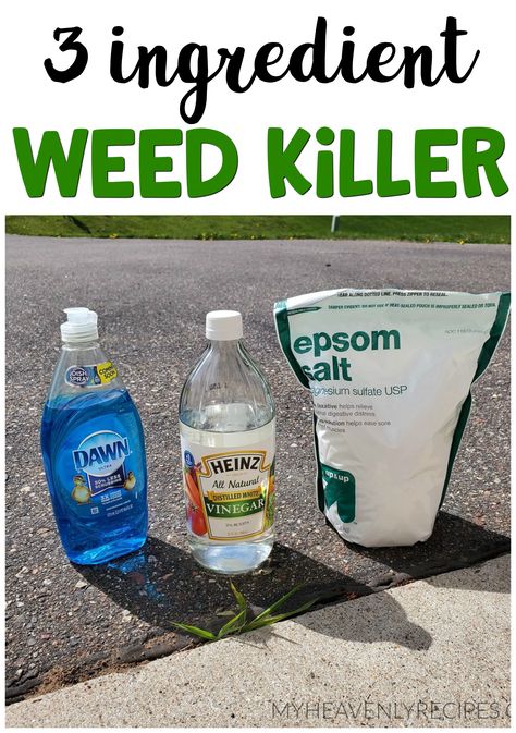 Kill Weeds With Vinegar, Sidewalk Cracks, Kill Weeds Naturally, Killing Weeds, Garden Remedies, Garden Weeds, Garden Yard Ideas, Yard Work, Garden Care