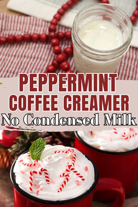 If you’ve been thinking about making your own coffee creamer, this easy recipe is the perfect place to start. With simple ingredients, and delicious peppermint flavor, you’ll be hooked immediately! Coffee creamer made without condensed milk is delicious and so simple. You probably already have all these ingredients on hand! #homemadecreamer #coffeecreamer #peppermintcoffee #dairyfree #homemade #healthycoffee #fromscratch Homemade Coffee Creamer No Sweetened Condensed Milk, Peppermint Creamer Recipe, Homemade Coffee Creamer Without Condensed Milk, Coffee Mate Creamer Recipe, Coffee Creamer Without Condensed Milk, Homemade Coffee Creamer Using Sweetened Condensed Milk, Homemade Coffee Creamer With Heavy Cream, Coffee Creamer Homemade Evaporated Milk, Condensed Milk Coffee Creamer