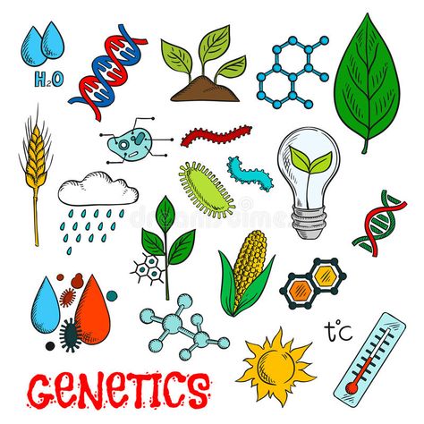 Genetic technologies in agriculture sketches royalty free illustration Biology Laboratory, Corn Farm, Technology In Agriculture, Drawing Colorful, Research Poster, Quantitative Research, Science Research, Agriculture Industry, Agriculture Education