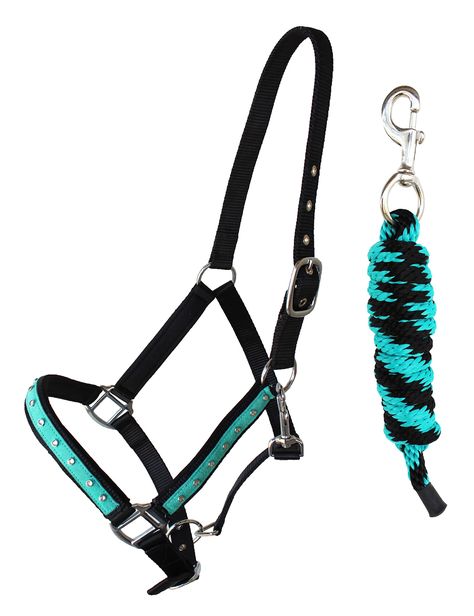 PRICES MAY VARY. Average Horse Size Black Teal Turquoise Challenger nylon halter comes double stitched for durability. Features rust-free stainless steel hardware. Neoprene padding along, cheeks and nose for comfort. Halter is accented with matching color rhinestone inlays along cheeks and nose. Includes matching Lead rope Challenger nylon halter comes double stitched for durability. Cute Halters For Horses, Teal Horse Tack, Halters For Horses, Dover Saddlery, Lead Rope, Teal Turquoise, Horse Stuff, Horse Tack, Color Matching