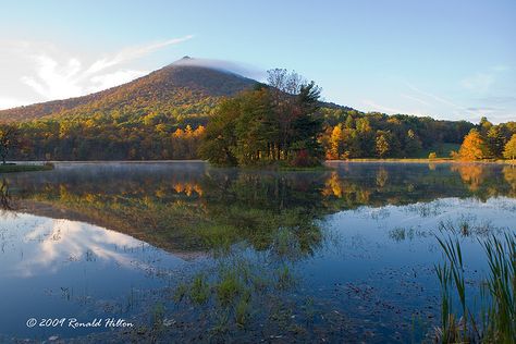 Sharp Top Mountain; Peaks of Otter, Virginia Blue Ridge Parkway Virginia, Skyline Drive, Virginia Is For Lovers, Star City, Blue Ridge Parkway, Blue Ridge, Otters, Mount Rainier, Country Girls