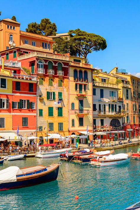 Escape to Liguria – the Italian Riviera! 🏖️  Explore vibrant cities, colorful villages, and sun-kissed beaches. Sip fine wines in the Langhe, wander charming streets, and marvel at the Leaning Tower of Pisa. Dive into Italy's rich culture and cuisine.   It's an adventure you won't want to miss!🍷  #Italy #TowerOfPisa #CinqueTerre #Turin #Travel #Adventure #Europe #SeniorDiscoveryTours The Italian Riviera, Italian Village Aesthetic, Italian Riviera Aesthetic, Pisa Aesthetic, Tuscany Beach, Italy Vision Board, Italian Street Food, Italy Culture, The Leaning Tower Of Pisa