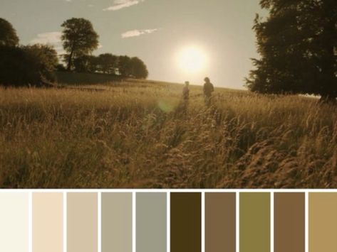 Films Color Palette, Film Moodboard Color Palettes, Color Palette Cinematography, Film Colour Palette, Film Stills Cinematography Color Palettes, Movies Color Palette, Movie Color Grading, Cinema Color Palette, Film Color Grading