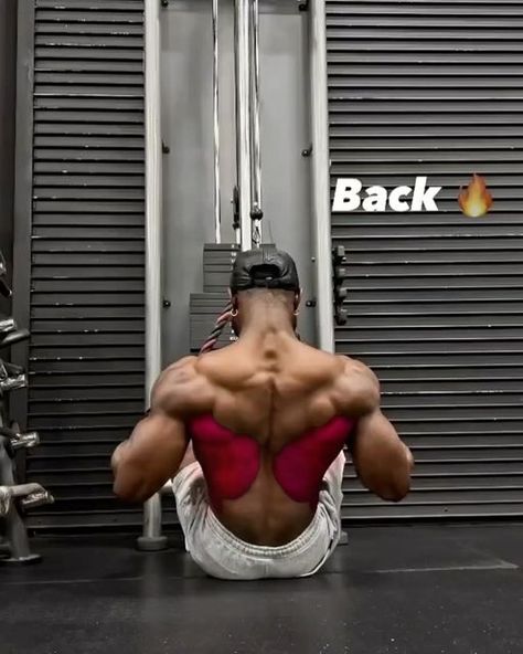 Bodybulding | Gym | Fitness on Instagram: "Save this big shredded back workout 🔥
@starboy_camair" Shredded Back, Back Workouts, Mens Back, Fitness Gym Workout, Back Exercises, Back Workout, Gym Fitness, Fitness Gym, Gym Workout