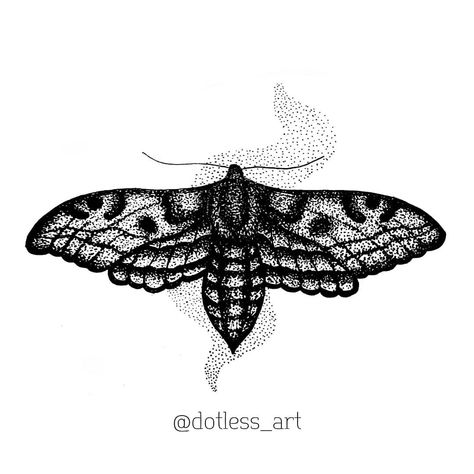 Watch the Best YouTube Videos Online -  #dotlessart #moth #blackandwhite #dotwork #blackwork #black #dots #art #artist #tattoo #mothtattoo #tattoos #tattooideas Artist Tattoo, Moth Tattoo, Black Dots, Dots Art, Blackwork, Video Online, Art Artist, Moth, Youtube Videos