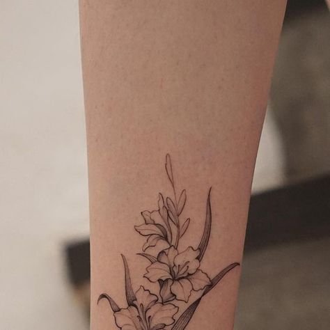 con ele on Instagram: "Simple gladiolus(aka Sword lily) for Li Lian’s first tattoo. It’s her birth month flower and sounded similar to her name. Thanks for the trust! #tattoo #gladiolus #flowertattoo #floral #finelinetattoo #linework #minimalism #minimalist #design #designer #customdesign #customtattoo #conlll #theconetree #simplicity #blackwork #blxckink #inked #ink #illustration #dotwork #tttism #equilattera #darkartists #blacktattooart #tattooidea #malaysiatattoo #tattrx #blacktattoo" Gladiolus Tattoo Line Art, Gladioli Tattoo, Trust Tattoo, Gladiolus Tattoo, Birth Month Flower, Ink Illustration, Month Flowers, Birth Month Flowers, Fine Line Tattoos