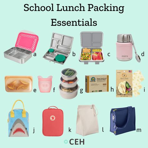 Toxic School, School Lunch Packing, Lunches For School, Lunch Packing, Reusable Food Wrap, Planet Box, Canvas Lunch Bag, Packing Essentials, Steel Lunch Box