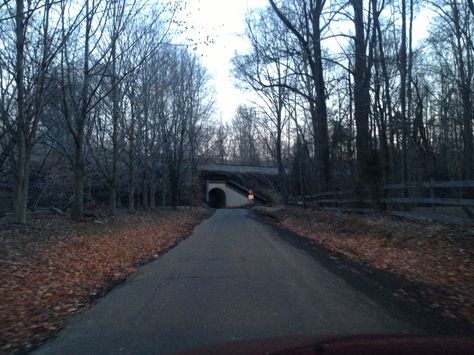 Bunnyman's Bridge. Really creepy. Bunnyman Bridge, Building References, Environment Reference, This Moment, Bridge, Country Roads, In This Moment, Road, Building