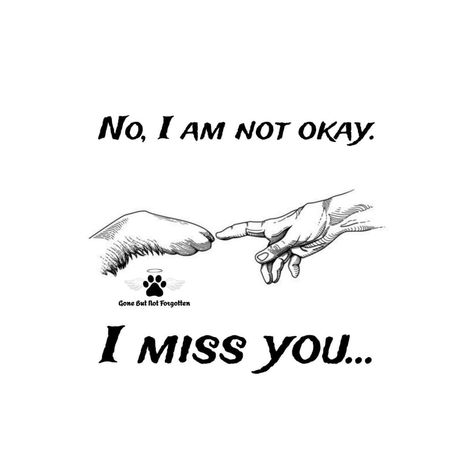 Losing A Pet Quotes, Dog Heaven Quotes, I Miss My Cat, Miss My Dog, Breathing Fire, Animal Tattoo Ideas, Gone But Not Forgotten, Dog Quotes Love, Heaven Quotes