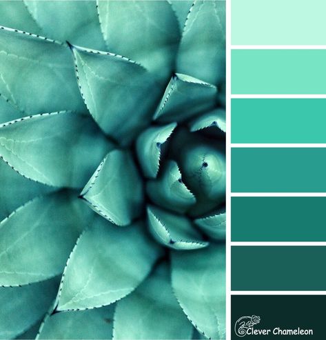 Succulent Blue-Green: Colour Inspiration Tuesday and Link Party November Colors, Green Color Combinations, Green Bear, Green Color Schemes, Color Schemes Colour Palettes, Green Colour Palette, Quilt Design, Colour Inspiration, Crafts Decor