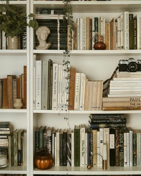 full bookshelves with plants, small decor items Pink Bookshelves, Ikea Kallax Unit, Bookshelf Aesthetic, Unique Bookshelves, Bookshelf Inspiration, Room Bookshelf, White Bookshelves, Bookshelf Decor, Home Library