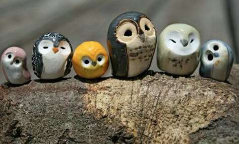 Harry Potter Owl, Clay Owl, Clay Birds, Pottery Animals, Brown Clay, Tanah Liat, Owl Family, Polymer Clay Animals, Clay Animals