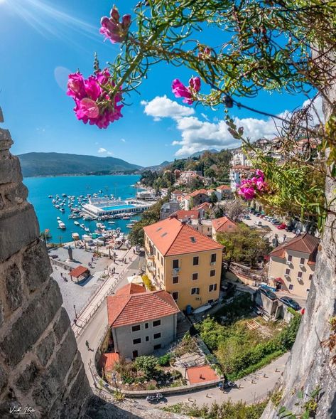 Herceg Novi, Enjoying The Sun, Europe Destinations, Old Town, Europe Travel, Beautiful Places, House Styles, Twitter, Travel