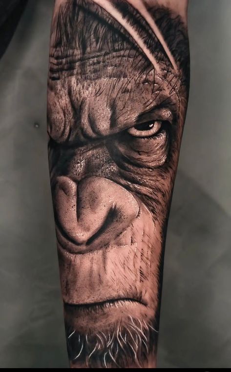 Gorilla Hand Tattoo, Gorilla Tattoo Design, Gorilla Tattoos, Black Men Tattoos, Dragon Ball Z Iphone Wallpaper, Gorilla Tattoo, Silverback Gorilla, Skull Sleeve Tattoos, Skull Sleeve