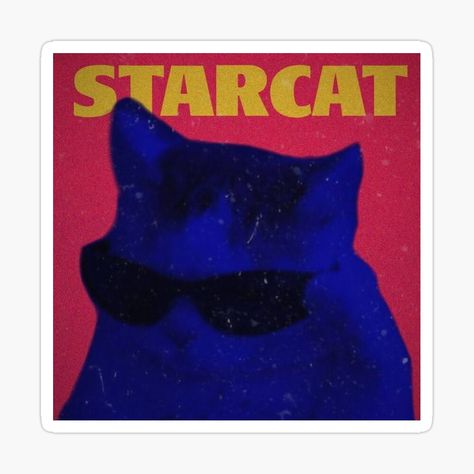 The Weeknd Cat Pfp, Cat Music Icon, The Weeknd Cat, Cat Album Covers, Album Cover Pfp, Starboy Pfp, Starboy Album Cover, Spotify Album Covers, Album Covers Wallpaper