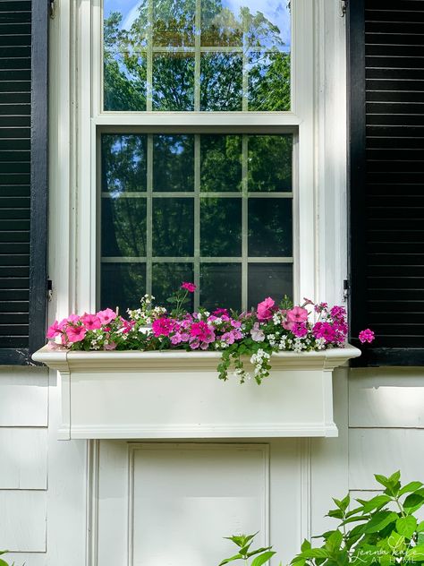 How To Plant Window Boxes Like a Pro Summer Planter Ideas, Cottage Front Yard, Exterior Wood Paint, Long Planter, Summer Planter, Balcony Planters, Plant Window, Box Flowers, Window Box Flowers