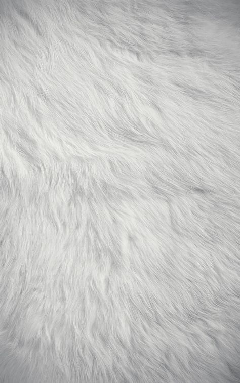 gray fur Perfume Styling, Fur Background, Amazing Backgrounds, Baby Photography Backdrop, Baby Blue Wallpaper, Photos Background, Fur Texture, Baby Blue Aesthetic, Light Blue Aesthetic