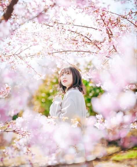 Cherry Blossom Portrait, Cherry Blossom Images, Cherry Blossom Pictures, Sakura Blossoms, Human Photography, Japan Cherry Blossom, Cherry Blooms, Spring Portraits, Spring Photoshoot