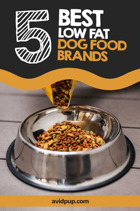 Low Fat Dog Food, Perfect Health Diet, Low Fat Diet Plan, Low Salt Diet, Fat Dog, Low Carb High Fat Diet, Fat Dogs, Best Diet Foods, Healthy Eating Diets