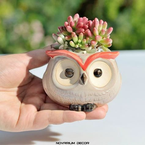 Owl Planter, Squirrel Gift, Ceramic Succulent Planter, Ceramic Flower Pot, Ceramic Succulent, Flower Pot Garden, Owl Gifts, Ceramic Flower Pots, Ceramic Owl