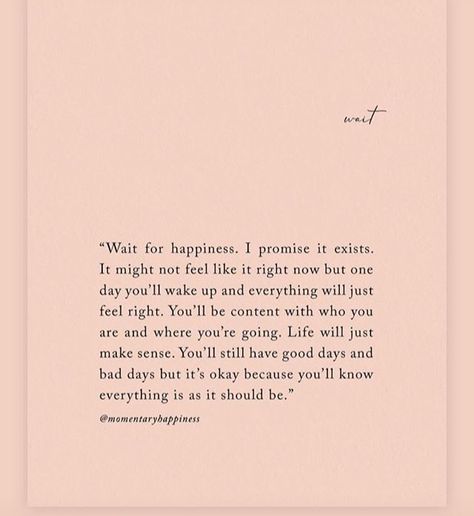 Momentary Happiness Quotes, Momentary Happiness, Happiness Quotes, Poem Quotes, Self Love Quotes, Happy Thoughts, A Quote, Note To Self, Pretty Words