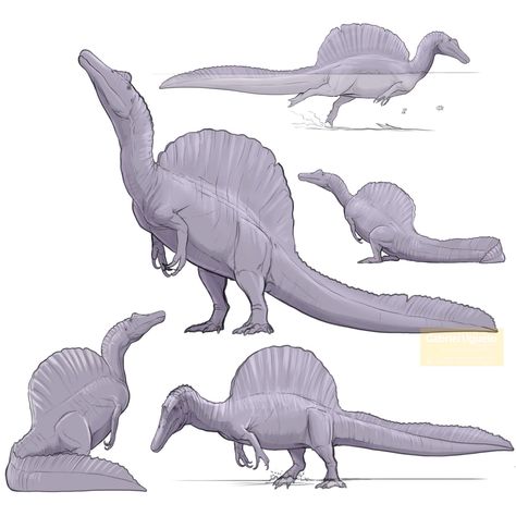 Gabriel N. U. on Twitter: "Last night after seeing @skeletaldrawing new Spinosaurus skeletal, I had to quickly sketch it #paleoart #sciart #dinosaurs… https://t.co/pR5nAMe2xf" Prehistoric Animals Dinosaurs, Dinosaur Sketch, Sketch It, Prehistoric Wildlife, Dinosaur Images, Dinosaur Drawing, Dinosaur Pictures, Ancient Animals, Prehistoric Art