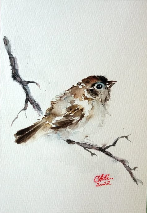 Bird Painting Watercolor, Bird Watercolor Paintings Watercolour, Watercolour Birds Simple, Loose Watercolor Birds, Watercolour Birds, Bird Watercolor, Watercolor Sparrow, Watercolor Birds, Watercolor Birds On A Wire