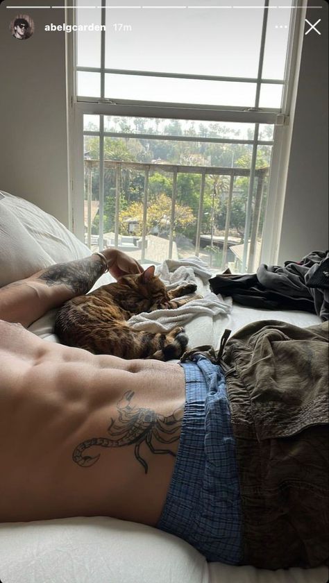 Man And Cat Aesthetic, Man With Cat Aesthetic, Boy Instagram Story, Men With Cats, Gym Boy, Ideal Man, Dream Man, Cat Aesthetic, Aesthetic Guys