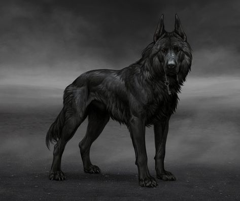 Arise, Sir Goodboye Of Dogginton Wolf Artwork, Fantasy Wolf, Werewolf Art, Canine Art, Fantasy Beasts, World Of Darkness, Anime Wolf, Fantasy Creatures Art, Mythical Creatures Art