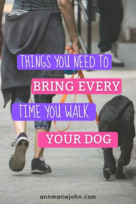 Things You Need to Bring Every Time you Walk your Dog Dog Walking Essentials, Dog Walking Aesthetic, Dogs Are The Best, Dog Business, Dog Walking Bag, Pet Care Tips, Dog Puppy, Mans Best Friend, Dog Walking