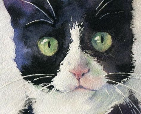 watercolor art of cats | Rachel's Studio Blog: Tuxedo and Friend Watercolor Painting Tuxedo Cat Art, Black And White Cat, Image Chat, Black Cat Art, Cat Artwork, Watercolor Cat, Art Et Illustration, Tuxedo Cat, Cat Portraits