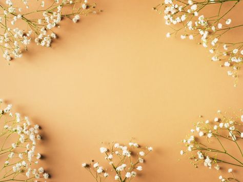 Flowers Flatlay, Flat Lay Background, Flower Flat Lay, Photo Beige, Mockup Background, Photoshoot Backdrops, Beige Fashion, Stock Background, Background Flower