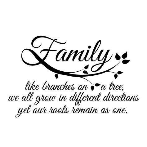 "Family like branches on a tree, we all grow in different directions yet our roots remain as one." This listing is to purchase the quote pictured above in black, in size small measuring 21.5 inches wi                                                                                                                                                                                 More Roots Quotes, Family Tree Quotes, Words Family, Happy Greetings, Family Love Quotes, Tree Quotes, Quote Decals, Family Roots, Wall Quotes Decals