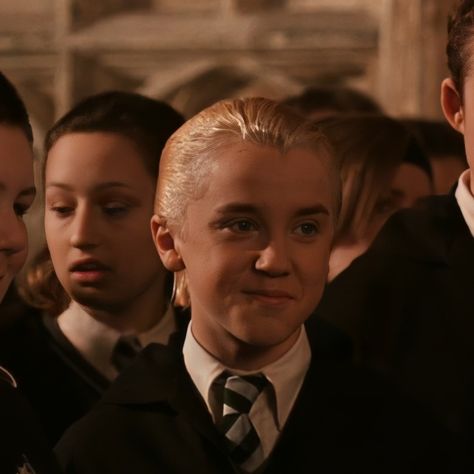 Tom Felton Young, Draco Malfoy Now, Blonde Ferret, Do I Like Him, Animal Quiz, Draco Malfoy Aesthetic, Lucius Malfoy, Harry Potter Puns, Tom Felton Draco Malfoy