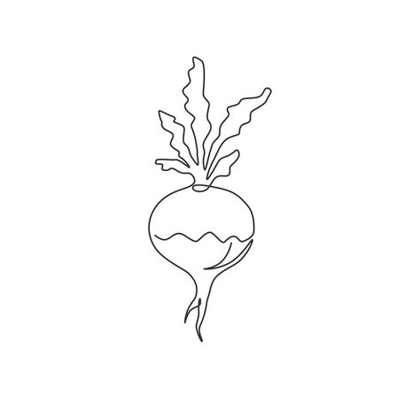 Vegetable Line Drawing, Turnip Tattoo, Turnip Drawing, Sapphic Summer, White Turnip, One Continuous Line Drawing, Fruit Sketch, Catering Logo, Vegetable Drawing