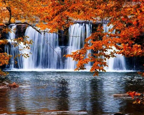 Autumn waterfall! Autumn Waterfalls, Waterfall Scenery, Waterfall Pictures, Waterfall Photography, Autumn Scenes, Autumn Scenery, Fall Pictures, Beautiful Waterfalls, Fall Photos