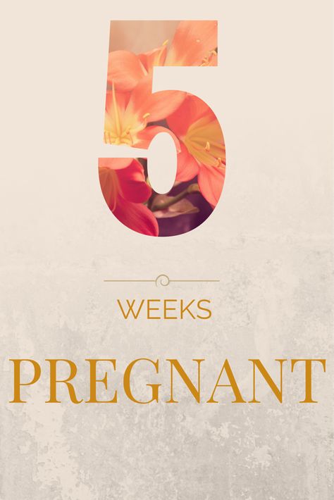 5 Weeks Pregnant Symptoms, 5weeks Pregnant, Five Weeks Pregnant, Pregnant Symptoms, 6 Weeks Pregnant, 5 Weeks Pregnant, Am I Pregnant, Pregnancy Ideas, Pregnancy Week