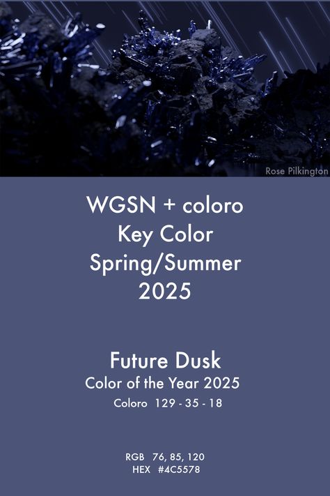 Key Color S/S 2025 Future Dusk and Color of the Year 2025 - WGSN+coloro Pantone Colors 2024/2025, Color Of 2025, 2025 Color Trends Fashion, Future Dusk Color, 2025 Pantone Color Of The Year, Wgsn Ss25, Future Dusk Color 2025, Pantone Color Of The Year 2025, Color Trend 2025