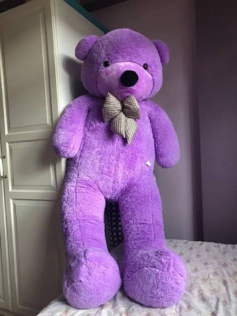 Purple Teddy Bear Wallpaper, Massive Teddy Bear, Purple Teddy Bear, Purple Wallpapers, Large Teddy Bear, Studio Photoshoot Ideas, Big Teddy Bear, Large Stuffed Animals, Big Teddy