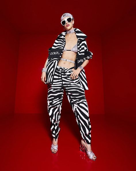 Pattern Outfits, Animal Print Outfits, Dg Logo, Zebra Pattern, Fashion Inspiration Design, Dope Outfits, Print Jacket, Wow Products, Shoes And Accessories