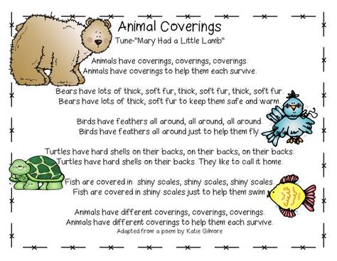 Song, "Animal Coverings" from Cross Curricular Unit on What & How Animals Eat, Animal Coverings & How Animals Move (free; from First Grade Wow): Kindergarten Science Lessons, Animal Coverings, Grade 2 Science, Animal Poems, Kindergarten Songs, Classroom Songs, Animal Classification, Animal Adaptations, 1st Grade Science