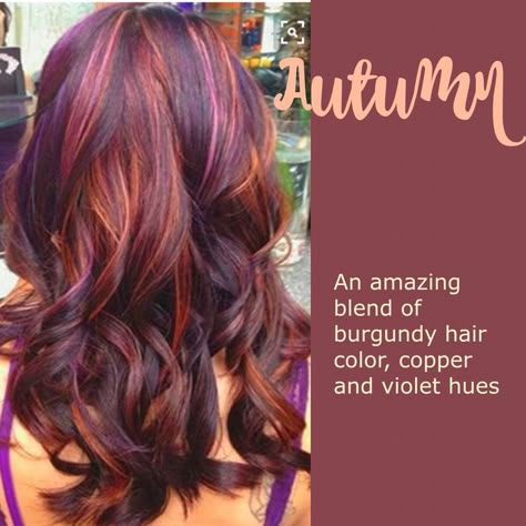 Red Violet Hair Color, Red Violet Hair, Violet Hair Colors, Hair Color Plum, Plum Hair, Violet Hair, Hair Color Burgundy, Fall Hair Color For Brunettes, Ombré Hair