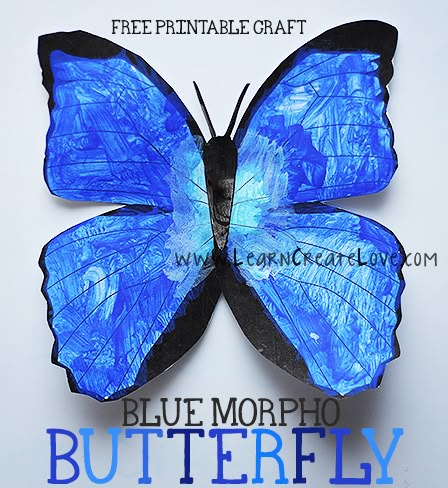 Printable Blue Morpho Butterfly Craft from LearnCreateLove.com Morpho Butterfly Craft, Rainforest Preschool, Rainforest Classroom, Butterfly Crafts Preschool, Rainforest Crafts, Rainforest Project, Rainforest Activities, Rainforest Theme, Butterfly Project