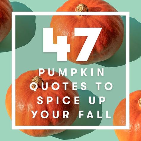 47 Best Pumpkin Quotes - Funny Pumpkin Puns Pumpkin Quotes Funny, Pumpkin Jokes, Pumpkin Puns, Christmas Vegetables, Pumpkin Quotes, Baking Quotes, Pumpkin Eater, It's The Great Pumpkin, Halloween Songs