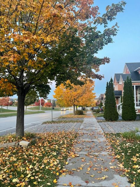 Suburbs Aesthetic, American Neighborhood, Autumn Ambience, Fall Foilage, Spooky Halloween Pictures, Usa House, Home Styles Exterior, Liminal Spaces, Pretty Landscapes